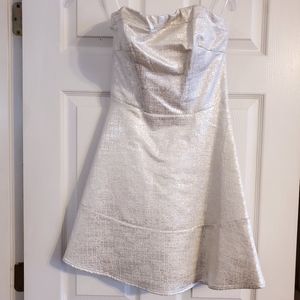 Silver Dress